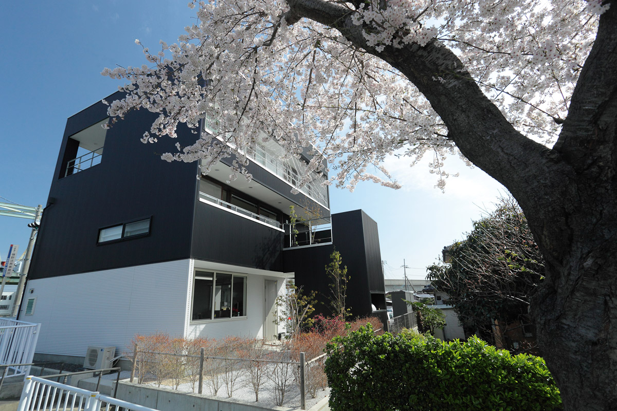 桜の見える家